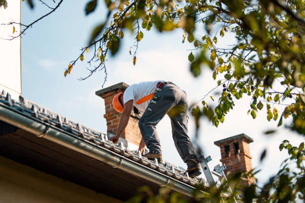 Best Roof Restoration Services  in Longview Heights, WA