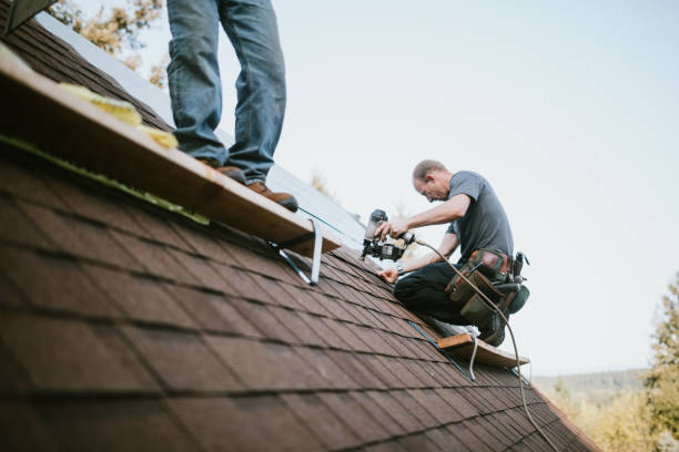 Best Metal Roofing Contractor  in Longview Heights, WA