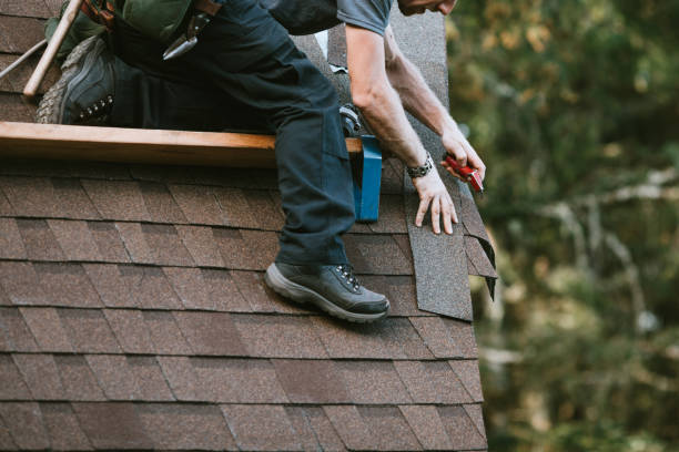 Best Local Roofing Companies  in Longview Heights, WA
